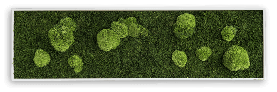 Wald- und Kugelmoosbild 140x40cm